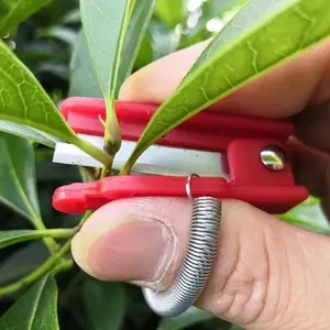 Outil de cueillette de légumes et de fruits, couteau séparateur, outils de jardinage pour la ferme et <span class=keywords><strong>le</strong></span> verger - Product Image 2