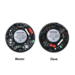 2*30W 8Ohm <span class=keywords><strong>wifi</strong></span> màu xanh răng hai chiều hoạt động Nhà hát hệ thống âm nhạc nền hoạt động không dây trong loa trần - Product Image 5