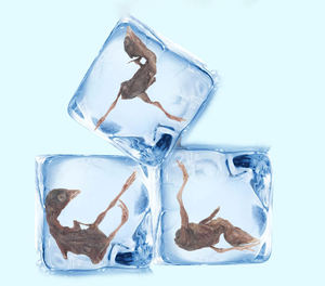 Individuelles Haustier-Nährungsergänzungsmittel Snacks leckere Katzen und Hunde frostgetrocknete Wachteln essen - Product Image 3