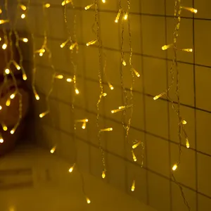 OEM Top Supplier Modern LED String Lights Black and White Decoration for Party AC Powered Curtain Light for Indoor Home Decor