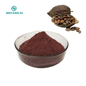 BCI Supply Meilleur <span class=keywords><strong>prix</strong></span> 100% poudre <span class=keywords><strong>de</strong></span> <span class=keywords><strong>cacao</strong></span> biologique naturelle - Product Image 2