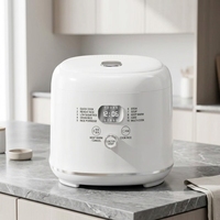Autocuiseur Électrique 5.0L 900W avec Logo Personnalisé WT-D04-5.0L, Minuteur 24H et Cuve Antiadhésive pour Personnes Diabétiques