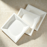 Assiette jetable carrée en bagasse de canne à sucre écologique, résistante, pour plats à emporter, pour restaurant