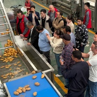Hete LTK stabiele kwaliteit frietlijn automatische schil- en afvoerinstallatie hoge capaciteit fabrieksdirecte prijs aardappel groente chips