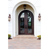 Porte d'entrée en fer forgé isolée Anewson avec verre de sécurité, double porte d'entrée en fer pour entrée/hôtel/villa