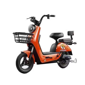 Bicicleta Eléctrica para Adultos con Batería de Plomo-Ácido y Pantalla LCD - Product Image 1