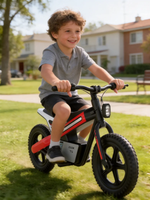 Motocicleta Eléctrica Infantil ZEEK T5Kids, Motor sin Escobillas de 24V 300W, Neumático Inflable de 14 Pulgadas, Encendido con Llave, Velocidad Ajustable, Música y Luces para Niños