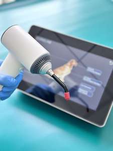 Nieuwe Klasse Iv Hoge Intensiteit <span class=keywords><strong>Laser</strong></span> Veterinaire High Power Fysiotherapie Lasertherapie Voor Pijn Anti-Ontsteking - Product Image 5