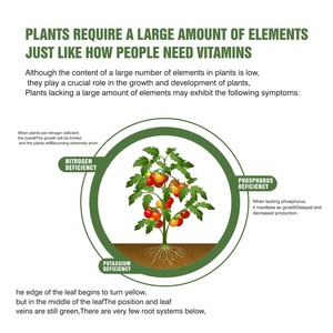 Engrais <span class=keywords><strong>NPK</strong></span> fertilizante <span class=keywords><strong>NPK</strong></span> <span class=keywords><strong>NPK</strong></span> 20 20 20 <span class=keywords><strong>NPK</strong></span> phân bón hạt lớn yếu tố hòa tan trong nước phân bón - Product Image 5