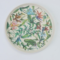 Assiette de vaisselle de luxe Offre Spéciale assiettes rondes couleur mélamine nordique incassable ensemble de vaisselle vert incassable Durable