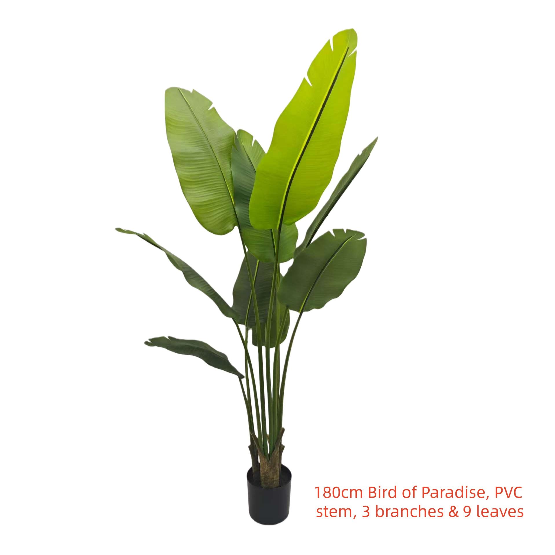 180cm Bird of Paradise, PVC stem, 3 branches & 9 leaves