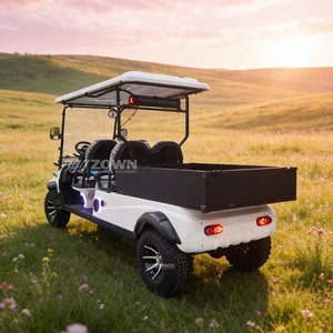 Voiturette de golf électrique 2 places avec éclairage LED et espace de chargement pour le transport et l'entretien des terrains de golf - Product Image 4