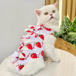 Vêtement de Stérilisation pour Chat : Gilet Anti-Léchage à Motif Fraise en Polyester, Design Adorable, Vêtement Post-Opératoire pour Chats - Product Image 2
