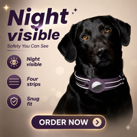 Collier de suivi et de positionnement anti-perte pour animaux de compagnie, portable, avec boucle de sécurité, facile à porter, sans pression sur le cou, sans glissement, vente directe usine