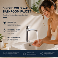 Robinet de lavabo de luxe en alliage de zinc, monocommande, à poser sur le comptoir, mitigeur de salle de bain, robinet d'eau froide simple