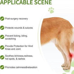 Manchon de récupération durable en néoprène pour chien, alternative au collier conique, protection du <span class=keywords><strong>coude</strong></span> pour la rééducation des pattes arrière après chirurgie, pour animaux de compagnie - Product Image 4