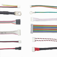 OEM/ODM 2 3 4 5 Pin Jst Sh Gh Zh Ph Xh Pcb Wire Terminal Block Connectors Kabel Perakitan Kabel Harness Pengkabelan