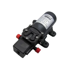 Singflo mini water supplier pump 12v 3.8GPM for garden or agricultural