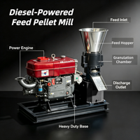 Moulin à granulés diesel STALLOWAY-160 8HP à 3 rouleaux pour l'alimentation des volailles (poulets, canards) dans les zones éloignées, capacité 120-150 kg/h, vente en gros