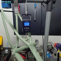Cadre de vélo de montagne SeeMore OEM/ODM 29 pouces en alliage d'aluminium, structure de moulage intégrée, cadre VTT