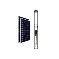 Système de pompe à eau solaire submersible DC WINSOLAR avec contrôleur MPPT intégré, impeller en plastique de 3 pouces, sortie d'eau en fer