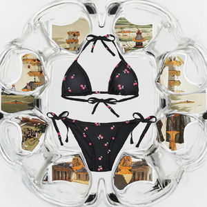 Ensemble de bikini deux pièces sexy pour femmes, imprimé animal, grande taille, tissu en spandex/nylon, séchage rapide, propriétés antibactériennes - Product Image 3