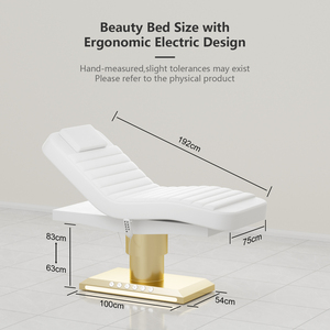 Cama de <span class=keywords><strong>Spa</strong></span> Eléctrica Moderna, Sillón de Bienestar con 3 Motores, Plegable, Control con Pedal de Acero Inoxidable, Mesa de Masaje, Belleza Facial - Product Image 2