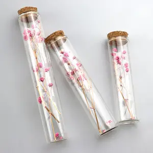 Wholesale 50ml 60Ml 80Ml Borosilicate Glass Tube Packaging Tube Long Bottles Glass Vial For Sample Testing With Cork Lid