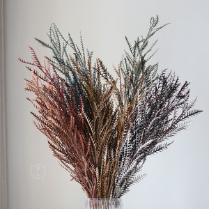 Flores Secas de Hoja de Diente de <span class=keywords><strong>Sable</strong></span> Eternas para Decoración del Hogar del Día de San Valentín y Ramos de Boda - Duraderas de 3 a 5 Años - Product Image 5