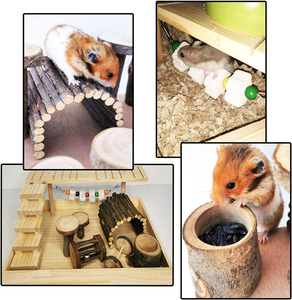 Plateforme d'activités en bois naturel pour hamsters et gerbilles, système <span class=keywords><strong>de</strong></span> gymnastique pour souris, accessoires <span class=keywords><strong>de</strong></span> cage d'exercice pour hamsters syriens - Product Image 6