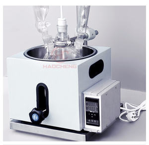 เครื่องปฏิกรณ์แก้วชั้นเดียวแบบ5L เครื่องปฏิกรณ์แยกขนาดเล็กสำหรับห้องปฏิบัติการ - Product Image 5