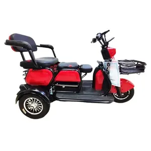 Fabriek Passenger Fiets Kar 2 Mini Auto Wiel E Bike Twee Seat Volwassen Driewieler Elektrische Motorfiets
