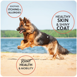Integratori per la cura della salute degli animali domestici olio di pesce per lenire il prurito allergie alla pelle sana mantello lucido - Product Image 5