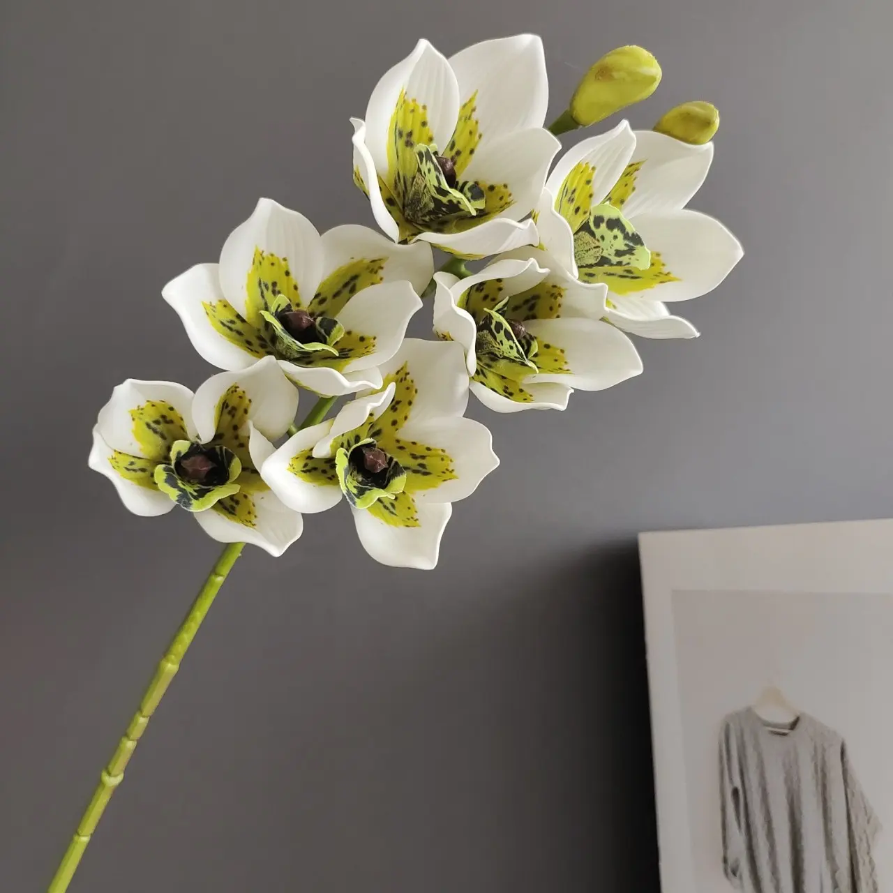 KEWEI-J636 3D Flowers White Real Touch Artificial Species Orchid Flowers Real Touch Latex Orchid Plants