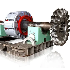 Alternator untuk Turbin Pelton Listrik Hidro/Hidroelektrik