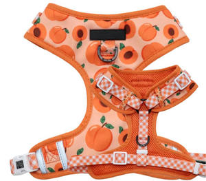 Tali kekang anjing pola kustom dapat dibalik dengan fitur Label personalisasi-produk hewan peliharaan kaya - Product Image 1