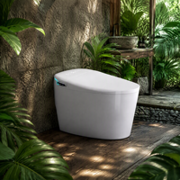 Toilette intelligente moderne de luxe entièrement équipée avec eau chaude instantanée, buse autonettoyante, sécheur d'air et télécommande
