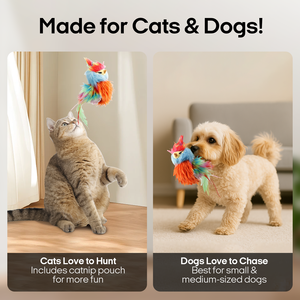 Oiseau qui bat des ailes simulé, jouet interactif pour animaux de compagnie, vente chaude, mignon, personnalisable, en gros, pour chatons - Product Image 5