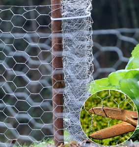 Malla de Alambre Hexagonal Soldada de Hierro Galvanizado, Color Plateado, Tamaño Personalizado, Marca Yuking, para Jardinería, Soporte de Árboles y Plantas - Product Image 6