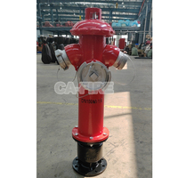 Hydrant d'incendie surélevé à poteau, norme française, pour extérieur, anti-collision, DN100, avec raccord français