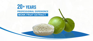 Poudre de jus de <span class=keywords><strong>fruit</strong></span> <span class=keywords><strong>du</strong></span> <span class=keywords><strong>moine</strong></span> <span class=keywords><strong>Lakanto</strong></span> en gros, sans érythritol, édulcorant, pur, 100% extrait de <span class=keywords><strong>fruit</strong></span> <span class=keywords><strong>du</strong></span> <span class=keywords><strong>moine</strong></span> séché - Product Image 5