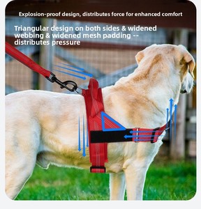 Imbracatura e Guinzaglio in Nylon Riflettente Turchese Anti-Trazione per Cani <span class=keywords><strong>di</strong></span> Taglia Media/Grande, Gilet Anti-Fuga per Border Collie Attivi - Product Image 2