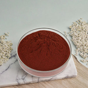 Hengchun İtalya Üreticisi Toptan Ham Organik Whey <span class=keywords><strong>Protein</strong></span> Tozu Çikolata Aromalı Enerji Verici 24 Ay - Product Image 5