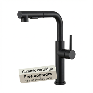 Robinet de cuisine à bec rétractable à 2 fonctions, installation facile, moderne, noir, robinets 304, 1 poignée, trou unique - Product Image 1