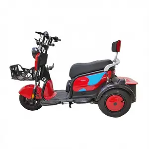 Professional Drum Brake Cargo Tricycle Three Wheel Motorcycle electric for sale