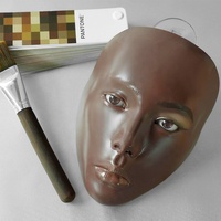 Masque de Modélisation pour Débutants en Silicone et Cuir, Panneau d'Entraînement au Maquillage Complet du Visage, Outil d'Entraînement au Maquillage