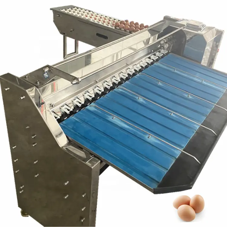 Equipo de procesamiento de huevos multifuncional, máquina de clasificación de huevos de pato