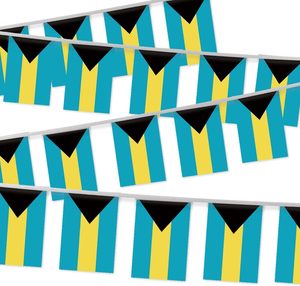 Drapeaux personnalisés promotionnels des Bahamas, assortiment complet <span class=keywords><strong>de</strong></span> drapeaux <span class=keywords><strong>pour</strong></span> la décoration d'événements et souvenirs - Product Image 3