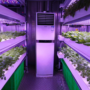 Автоматическая вертикальная гидропонная система для выращивания листовых овощей в помещении, умная теплица-контейнер - Product Image 3