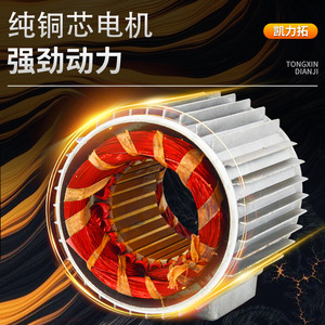 Mini Electric <b>Hoist</b> 220V 110kg IP54 Remote Control Wire Rope Lifting Machine For Household Use - Product Image 3